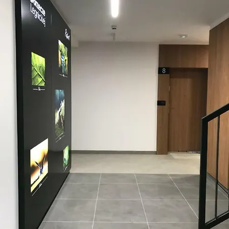 Studio Apartament - Centrum Wroclawia Ul. Malopanewska Lägenhet Wrocław